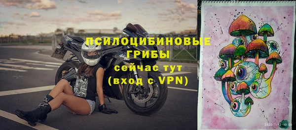 трава Бугульма